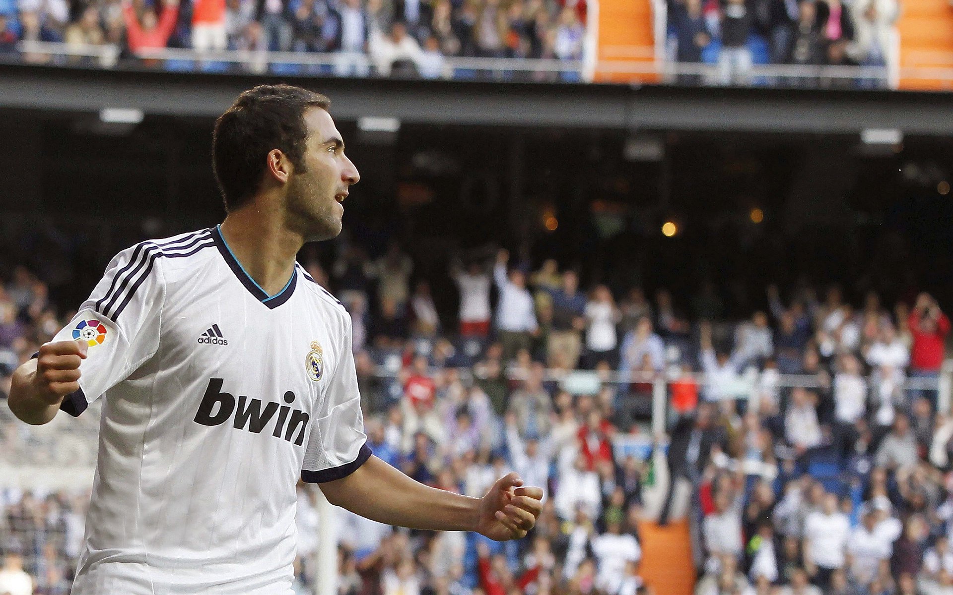 【粉丝专区】投票、评论和打榜活动不断，粉丝活跃榜投票